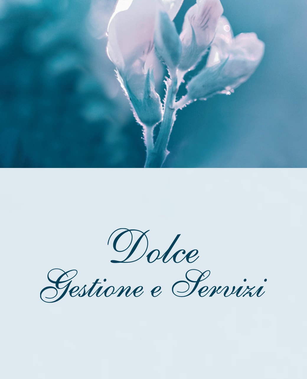 Dolce Gestione e Servizi